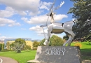University of Surrey-catalog